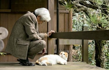 まいにち養老先生、ときどき　まる。