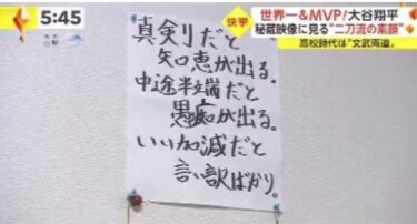 2025年12月　投資成績　今年は結局マイナスでした！・・・真剣に相場に向き合って知恵を出していこうと思う(´・ω・`)(+･`ω･´)ｷﾘｯ