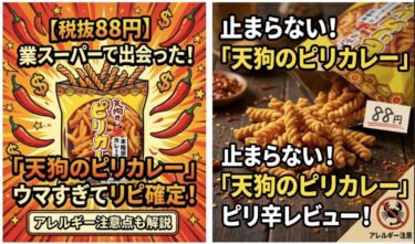 業務スーパーで見つけた「天狗のピリカレー」がウマすぎてリピ確定!アレルギー注意点も解説